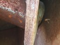 2003 J&M 750-18 Grain Cart