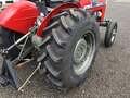 1980 Massey Ferguson 245 Tractor