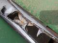 1998 John Deere 1293 Corn Head