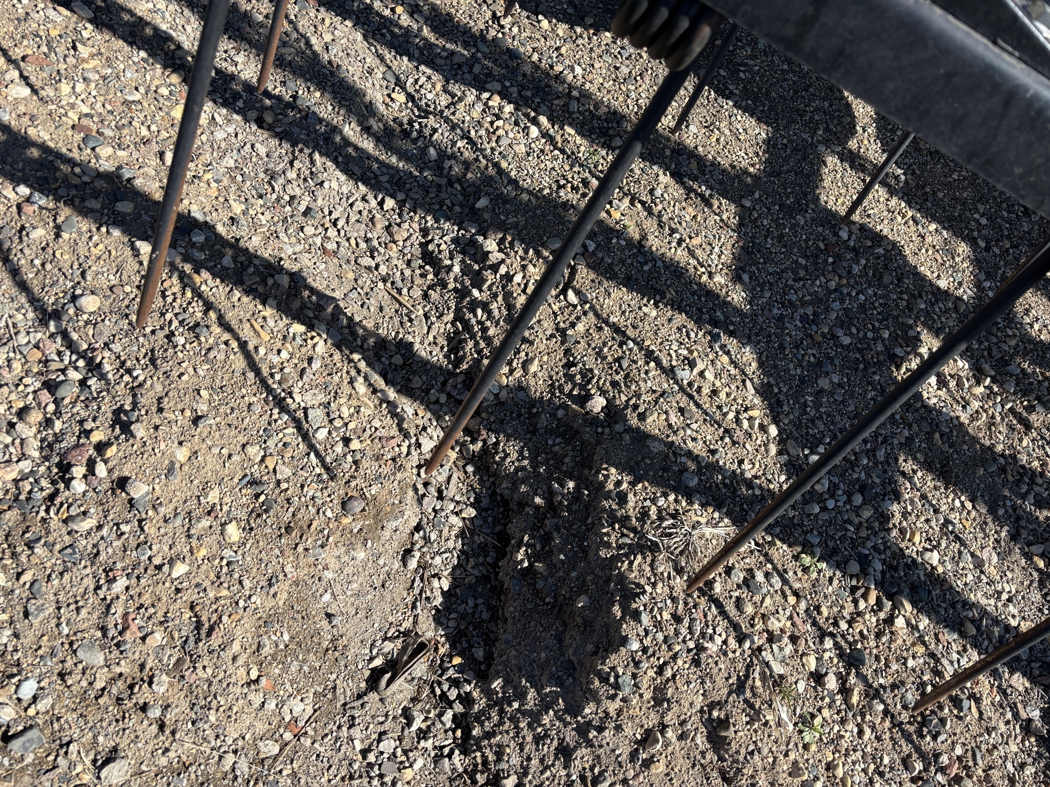 2025 John Deere 2730 Disk Chisel