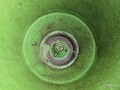  John Deere 246 Planter