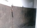 2004 Featherlite 8541 Livestock Trailer
