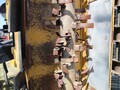 2022 Alloway FDS 12R22 Beet Equipment
