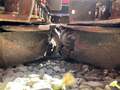 2012 Geringhoff Rota Disc 630 Corn Head
