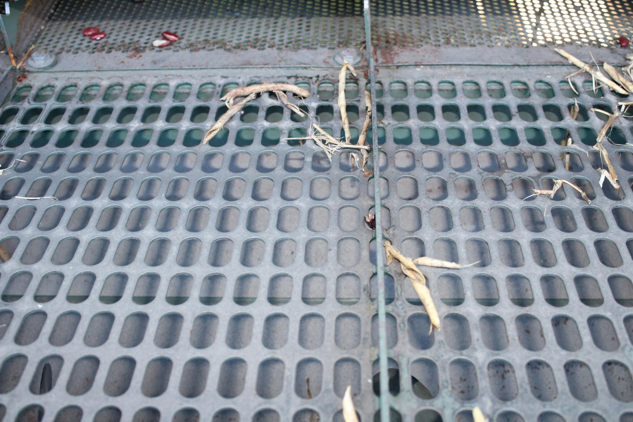 2018 Pickett Twin Master Vegetable Equipment