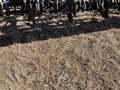 2011 Case IH Flex Hoe 700 Air Seeder