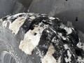 2022 Case 221F Wheel Loader