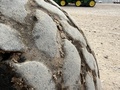 2004 John Deere 1890 Air Seeder