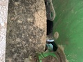 2010 John Deere 1790 Planter