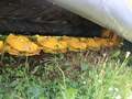 2026 New Holland Discbine 210 Mower Conditioner