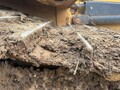 2022 Caterpillar D5 LGP Dozer