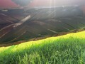 2024 Case IH DC105 Mower Conditioner