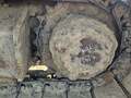 2021 Caterpillar 336 Crawler