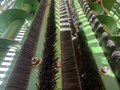 2021 John Deere CS690 Cotton Equipment