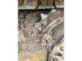2016 Caterpillar D4K2XL Dozer