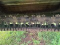 2020 John Deere 630 Mower Conditioner