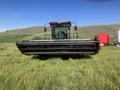 2002 Case IH WDX1101 Self-Propelled Windrowers and Swather