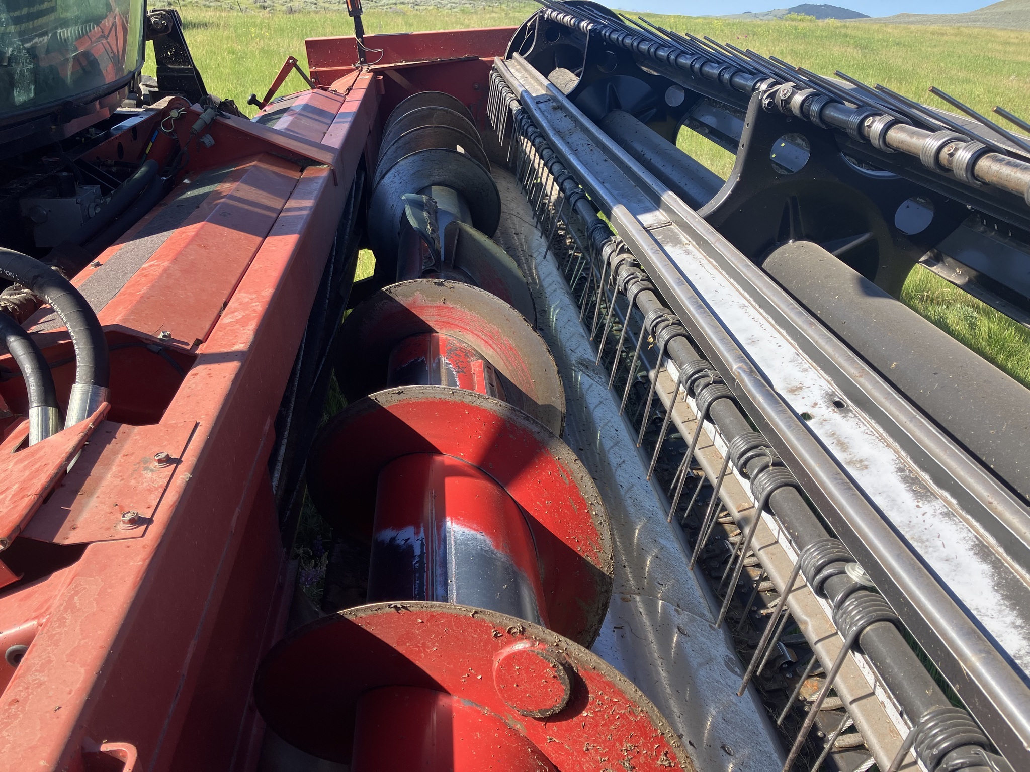 2002 Case IH WDX1101 Self-Propelled Windrowers and Swather