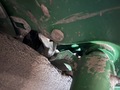 2023 John Deere 1775NT Planter