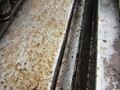 1996 Clarke 820 Corn Head