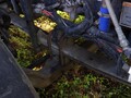 2012 Roto Mix 620-16 Grinders and Mixer
