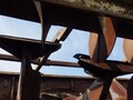 2004 Roto Mix 620-16 Grinders and Mixer