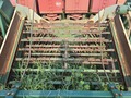2021 Kelley Manufacturing 636 RIGID CHAIN DSI Peanut Equipment