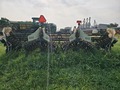 2021 Kelley Manufacturing 636 RIGID CHAIN DSI Peanut Equipment
