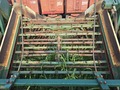 2021 Kelley Manufacturing 636 RIGID CHAIN DSI Peanut Equipment
