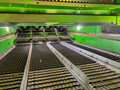 2025 John Deere S7 700 Combine