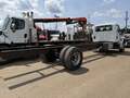 2023 International MV Box Trucks/Trailer