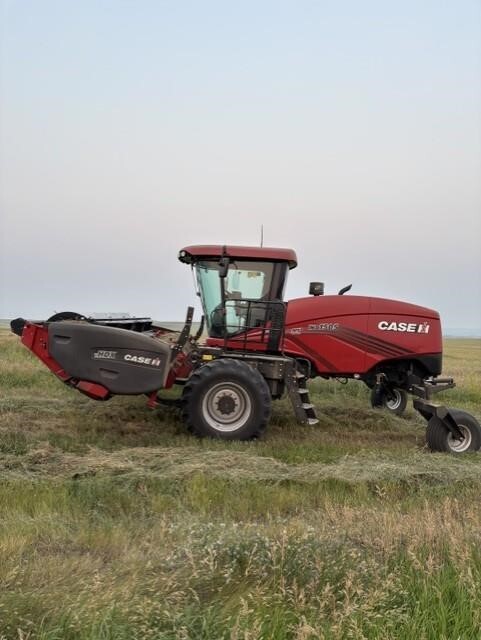 2023 Case IH WD1505 Self-Propelled Windrowers and Swather