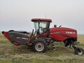 2023 Case IH WD1505 Self-Propelled Windrowers and Swather