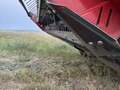 2023 Case IH WD1505 Self-Propelled Windrowers and Swather