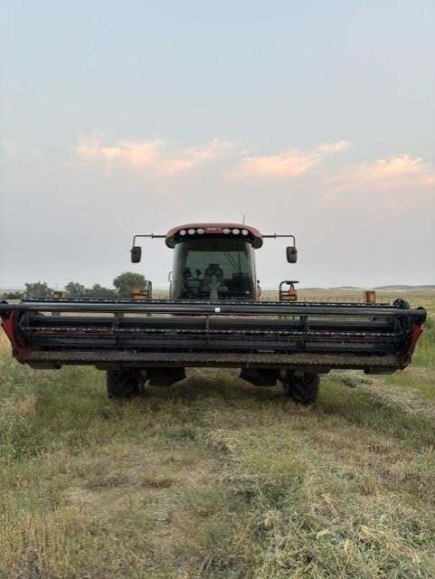 2023 Case IH WD1505 Self-Propelled Windrowers and Swather