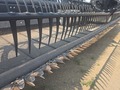 2020 MacDon FD140 Platform