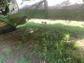 2019 John Deere W235 Self-Propelled Windrowers and Swather