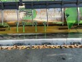 2011 John Deere 620F Platform