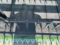 2022 John Deere RD45F Platform