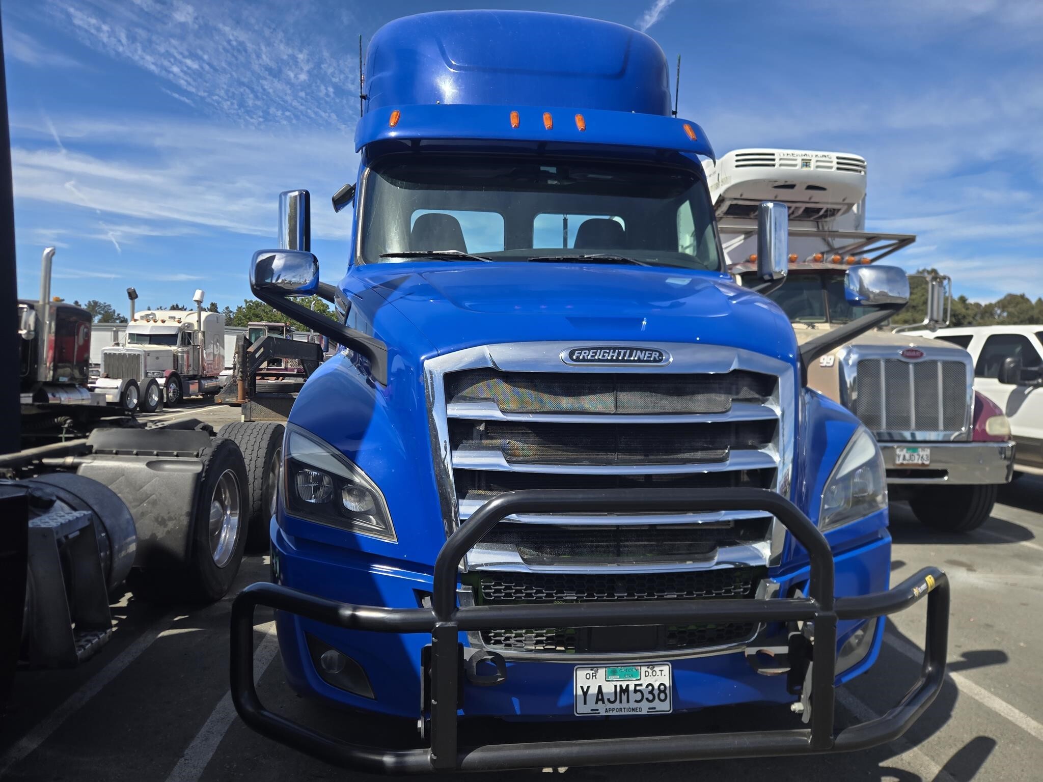 2019 Freightliner Cascadia 126 Semi Trucks/Trailer
