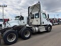 2021 Freightliner CASCADIA 116 Semi Trucks/Trailer