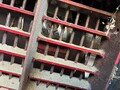 2021 Case IH 8250 Combine