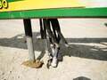 2005 John Deere 1990 Air Seeder