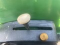2005 John Deere 4320 Tractor